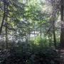 2010-07-18 09.28.58.jpg
